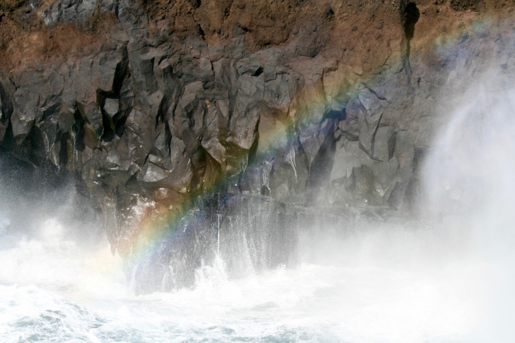 Lanzarote Kite Trip