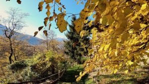 Il borgo di Fontanedo - Colico